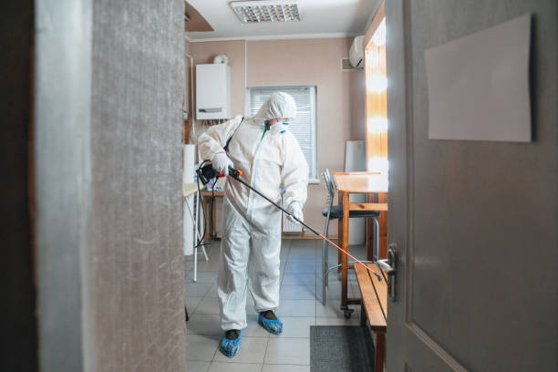 Why You Should Choose Our Mold Remediation Services in Swissvale, PA